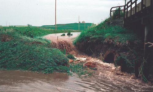 爱荷华州农场的径流流入溪流